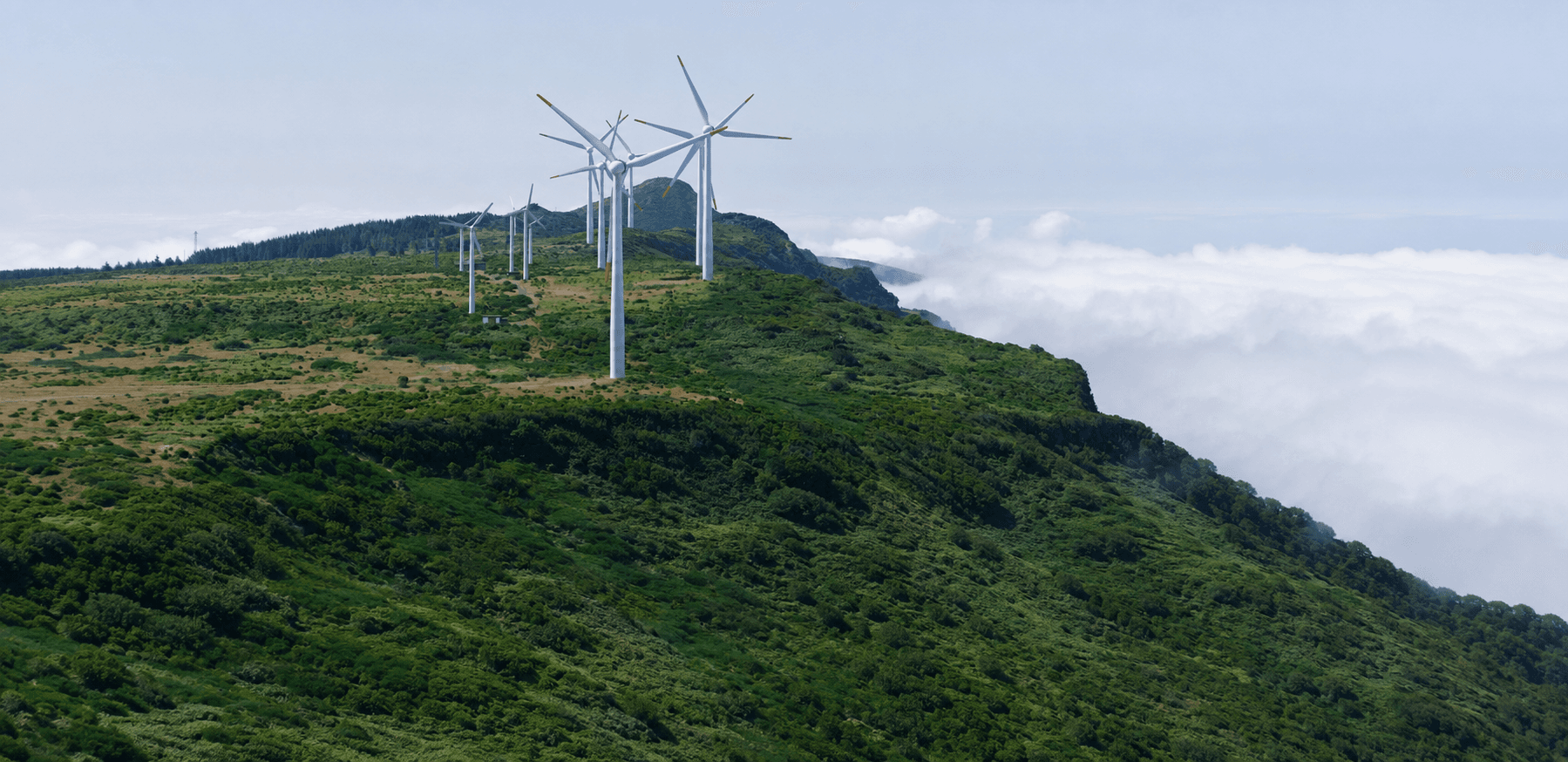 Sustainability